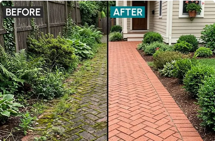 Before and after walkway